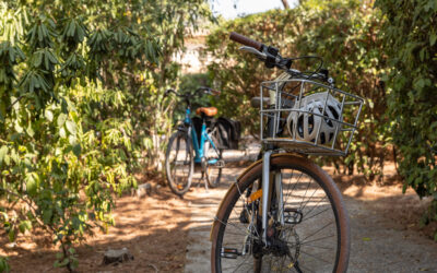 Nouvelle étape pour l’Accueil Vélo sur le territoire Estérel Côte d’Azur ! 🚴‍♀️