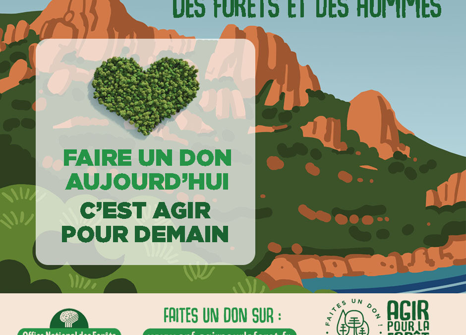 ONF : préservez la forêt de l’Estérel avec le projet « Agir pour la forêt »