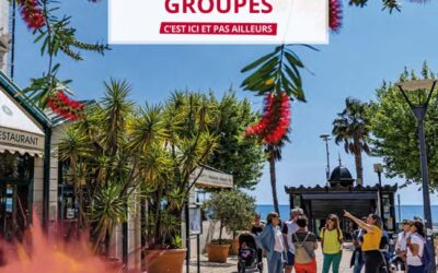 Catalogue Groupe : l’édition 2025/2026 est disponible !